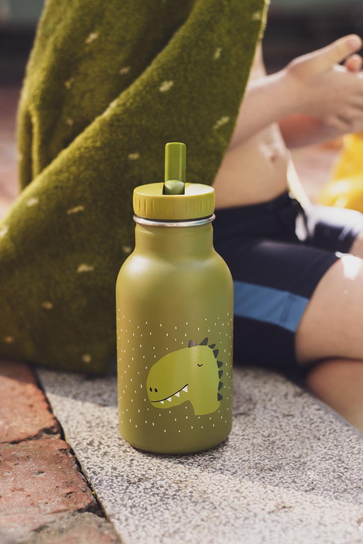 Trixie Bottle 350ml Mr. Dino