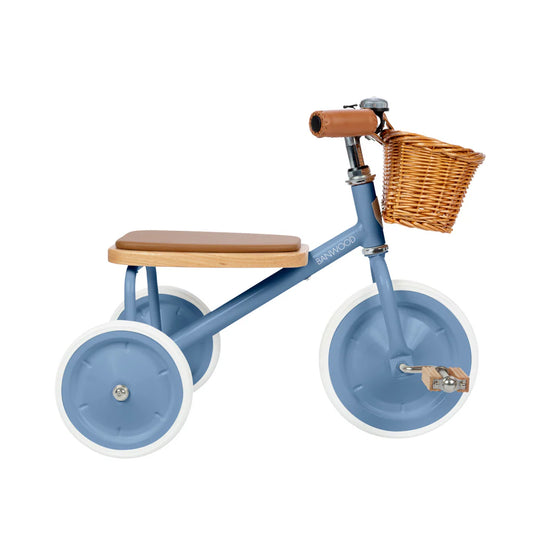 Banwood Trike Blue