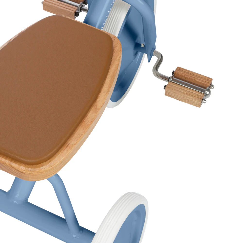 Banwood Trike Blue